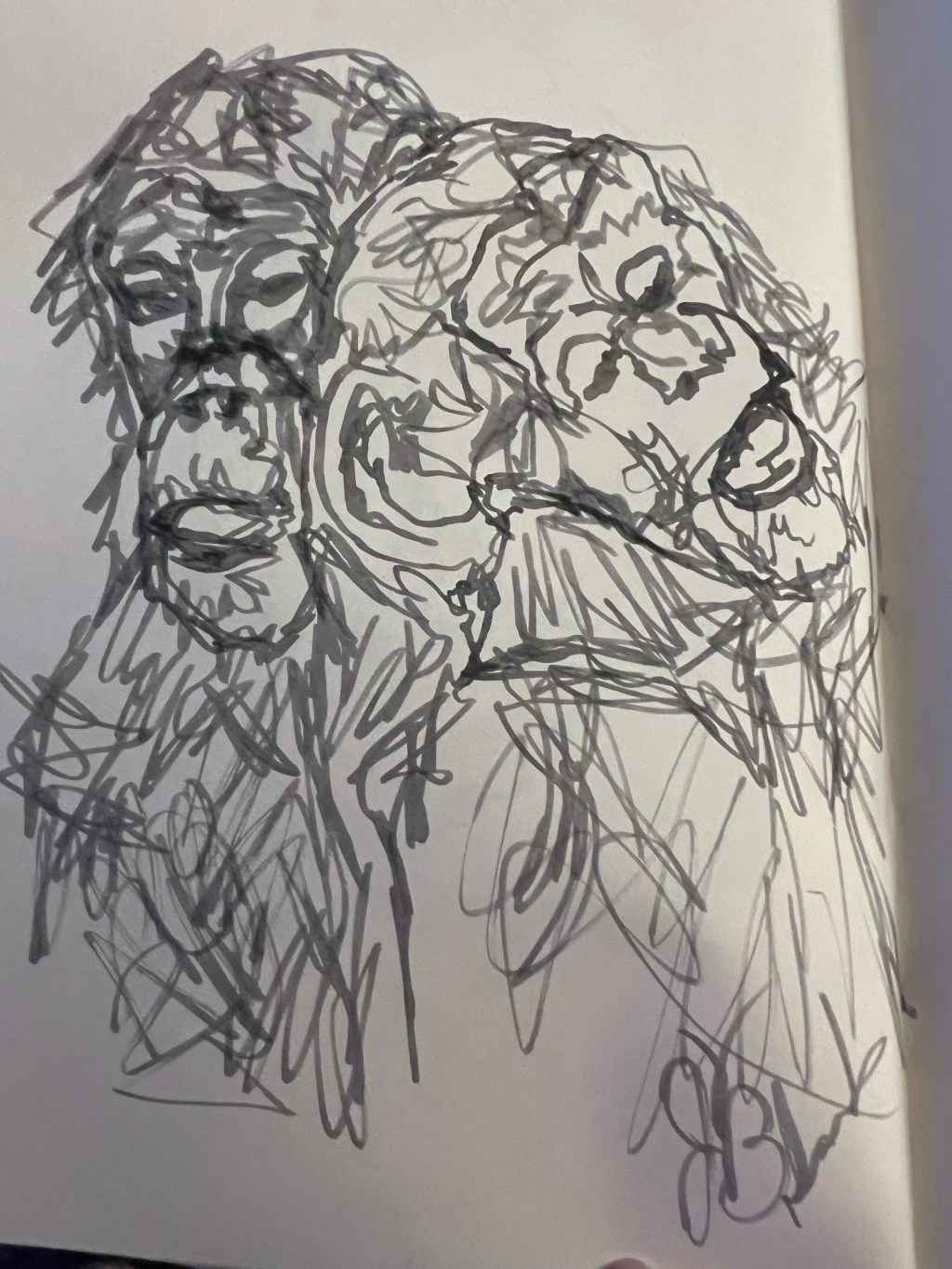 324 – More continuous line drawing